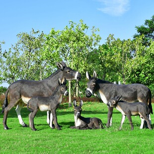 ����䓷���ë�H���ܑ������[���@�־��^СƷ���@�r���H����b�