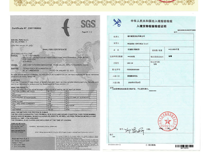 最新内页详情_20