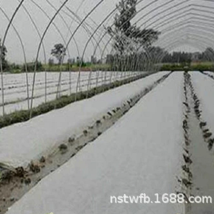 农业大棚蔬菜无纺布 PP丙纶防粘聚丙烯无纺布厂家批发