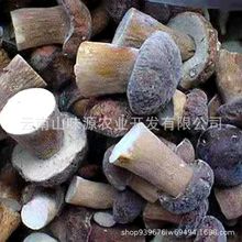云南野生菌批发冻牛肝菌冰冻牛肝美味产地直销量大从优现货特级