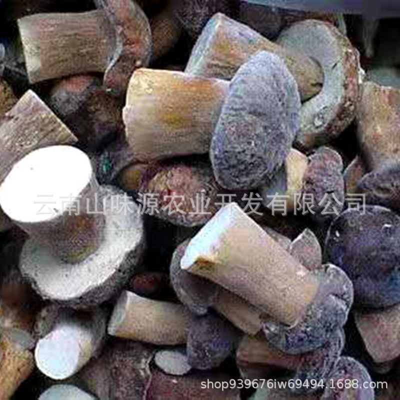 云南野生菌批发冻牛肝菌冰冻牛肝美味产地直销量大从优现货特级