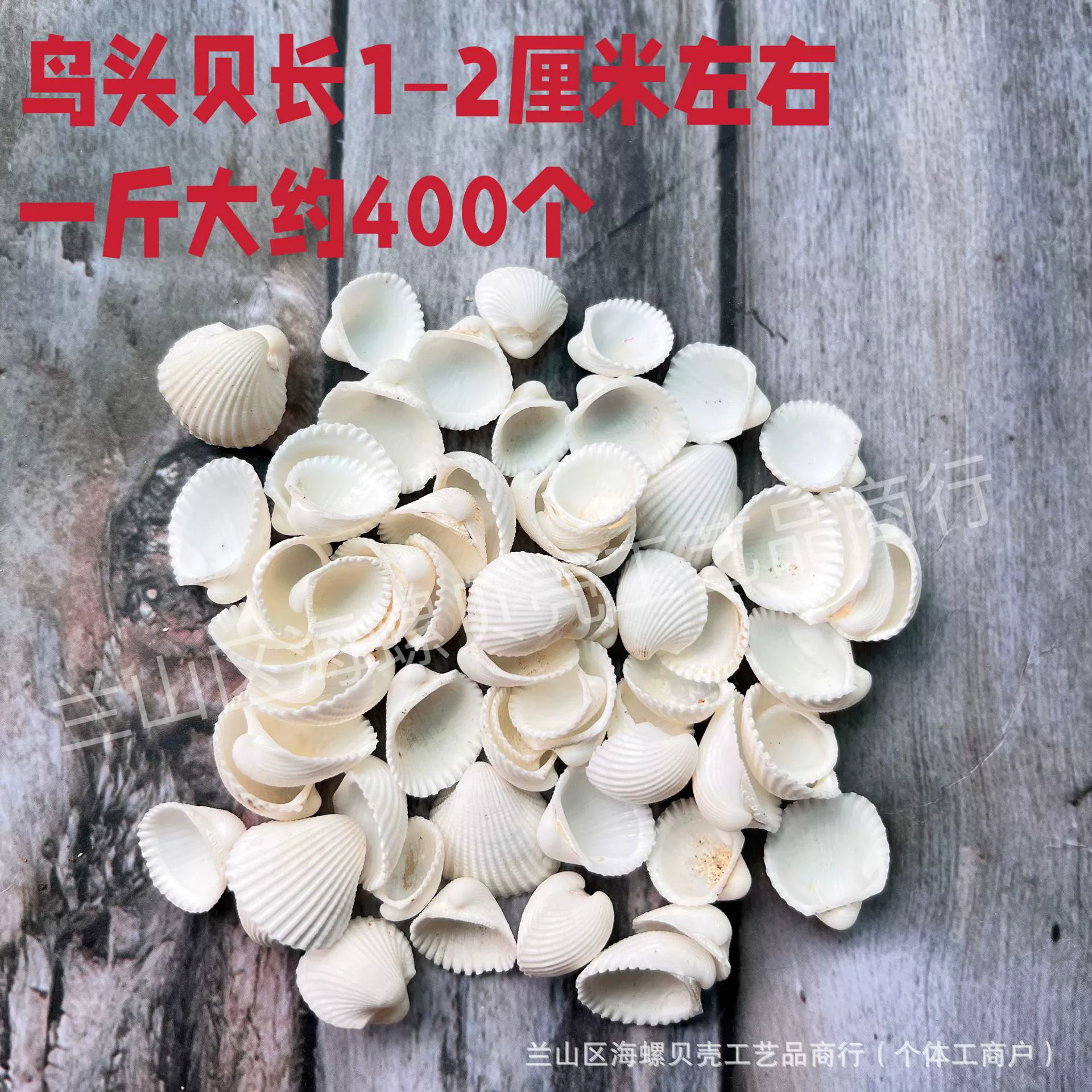 Shell Natural Shell Conch Stars Drifting Bottle Shell Crafts Wholesale Diy Handmade Shell Materials