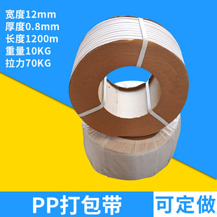 �����10����pp������C�ô�����C�ð�ɫ͸�������pp����b��