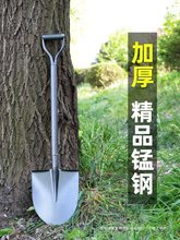 iF@F}ҷN˹PPP܇dPСɳ