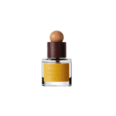 deodorant car perfume fresh | Car Perfume Aromatherapy