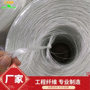 �o�|�����w�S������䓻��S���ò����w�S���������������w�S