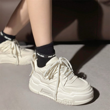 ƤɫŮЬ2025ССЬϵЬ@ݸ߸