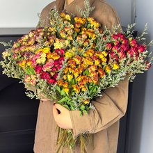 õɻ滨͏d[Ob[͹Ŷ^ȻL