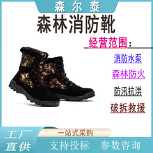 ȞķѲoѥ˾ԮȫЬԮɭַѥ