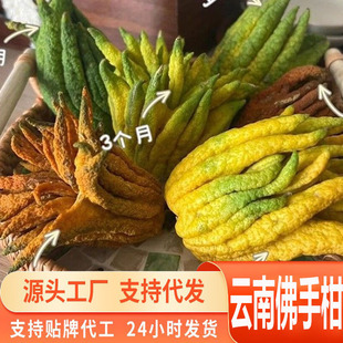 Դ�^һ�����l��Ϸ��ָ��ش��r����Ȼ��޹�幩���^�p�[���҃�