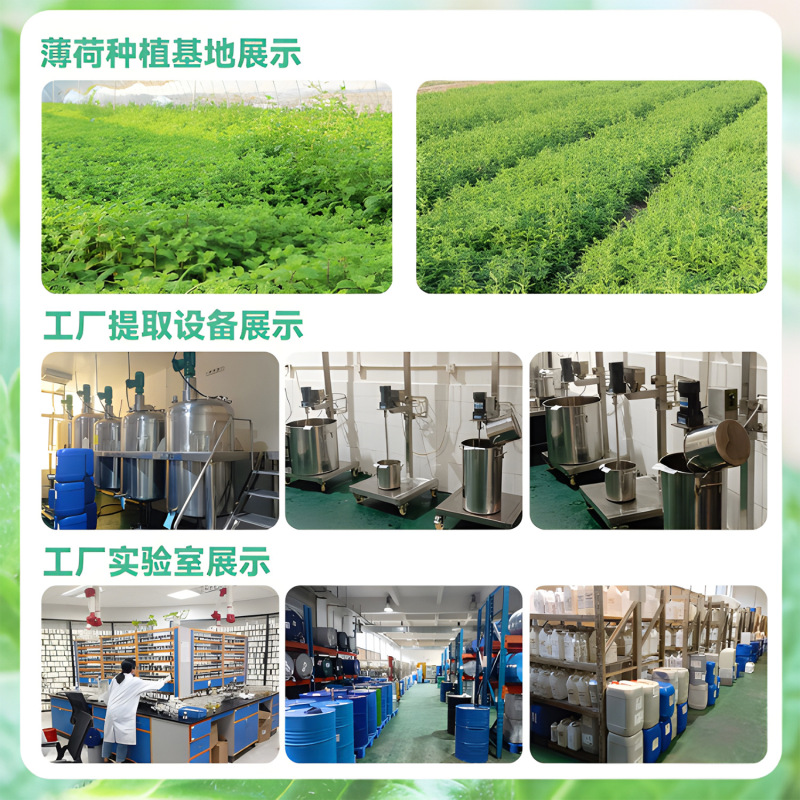 薄荷原油薄荷精油 纯植物萃取单方精油 薄荷叶油薄荷油现货|undefined
