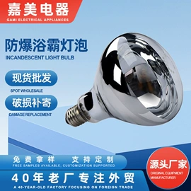 普通白炽灯;其他白炽灯;LED球泡灯