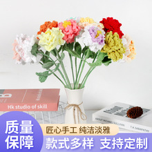 ë��������ș����Ʒ��Ʒ���滨ˇ�g���������ѶY���ֹ��h��ë����