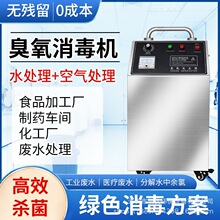 水处理臭氧消毒机20g臭氧发生器杀菌消毒除异味食品厂车间工厂用