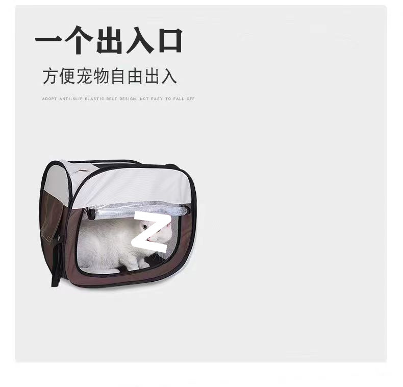 edc8bc37-67b4-4124-b205-25c2149f7428.jpe