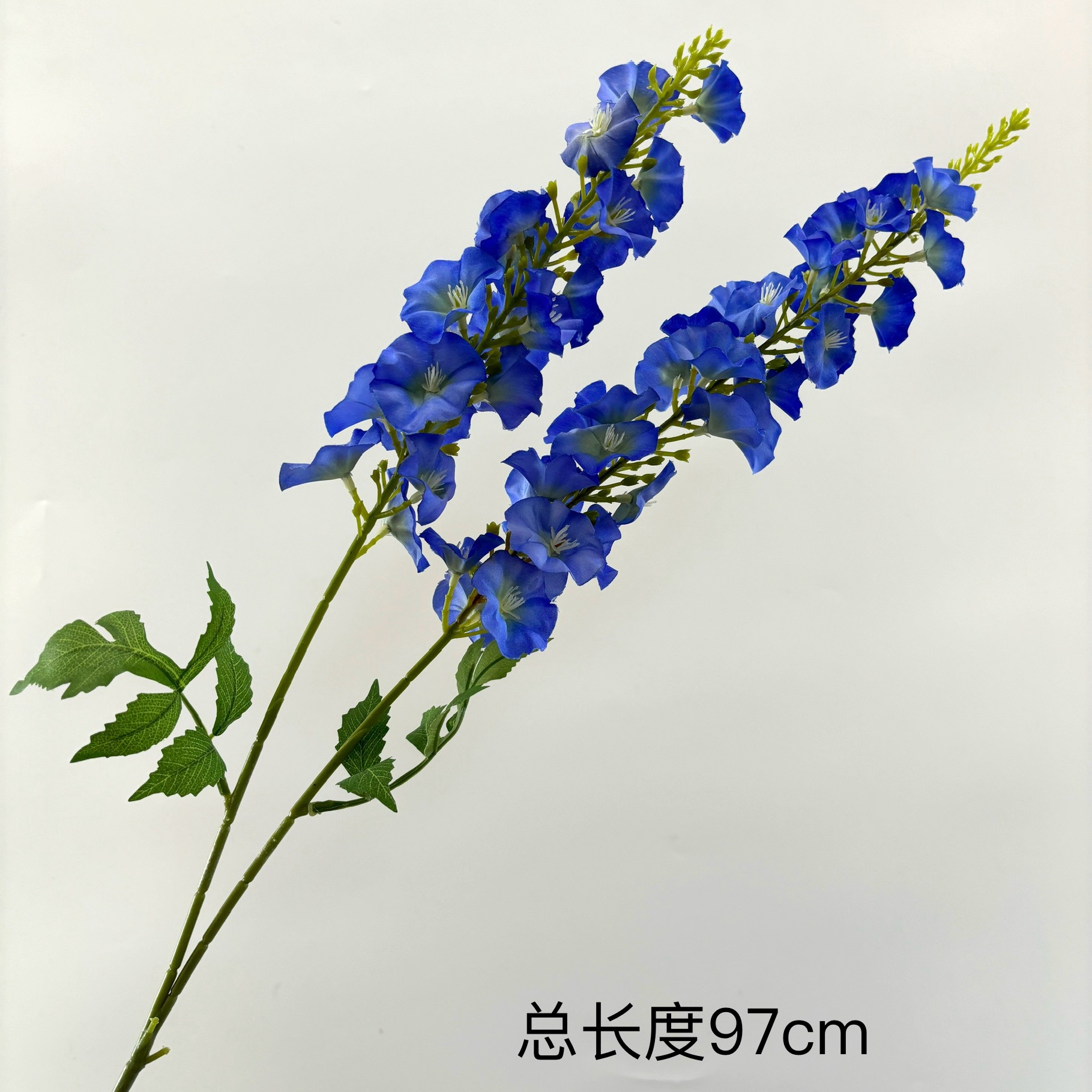 치히로의 두 갈래
