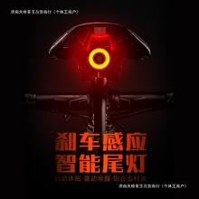 洛克兄弟自行车尾灯智能感应刹车灯骑行装备山地车公路车夜骑尾灯