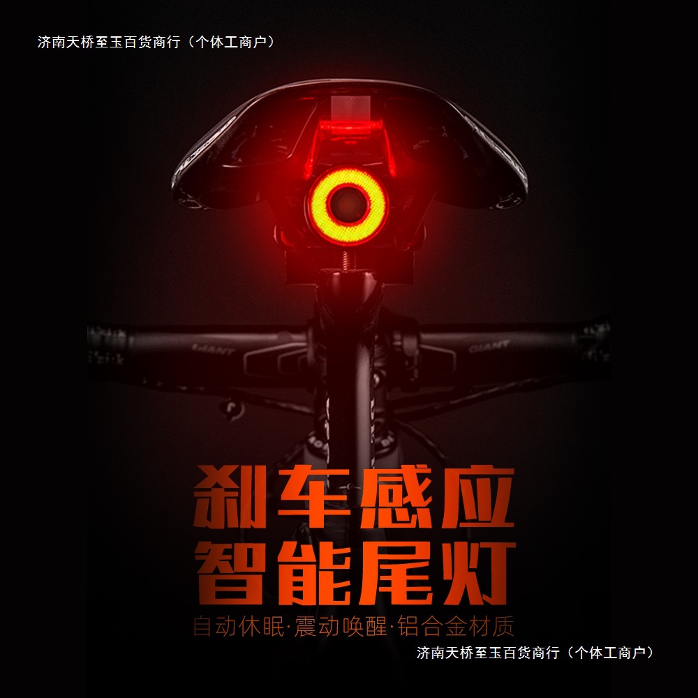 洛克兄弟自行车尾灯智能感应刹车灯骑行装备山地车公路车夜骑尾灯