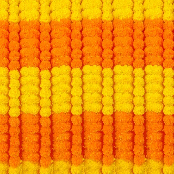 5 yellow 5 orange separation