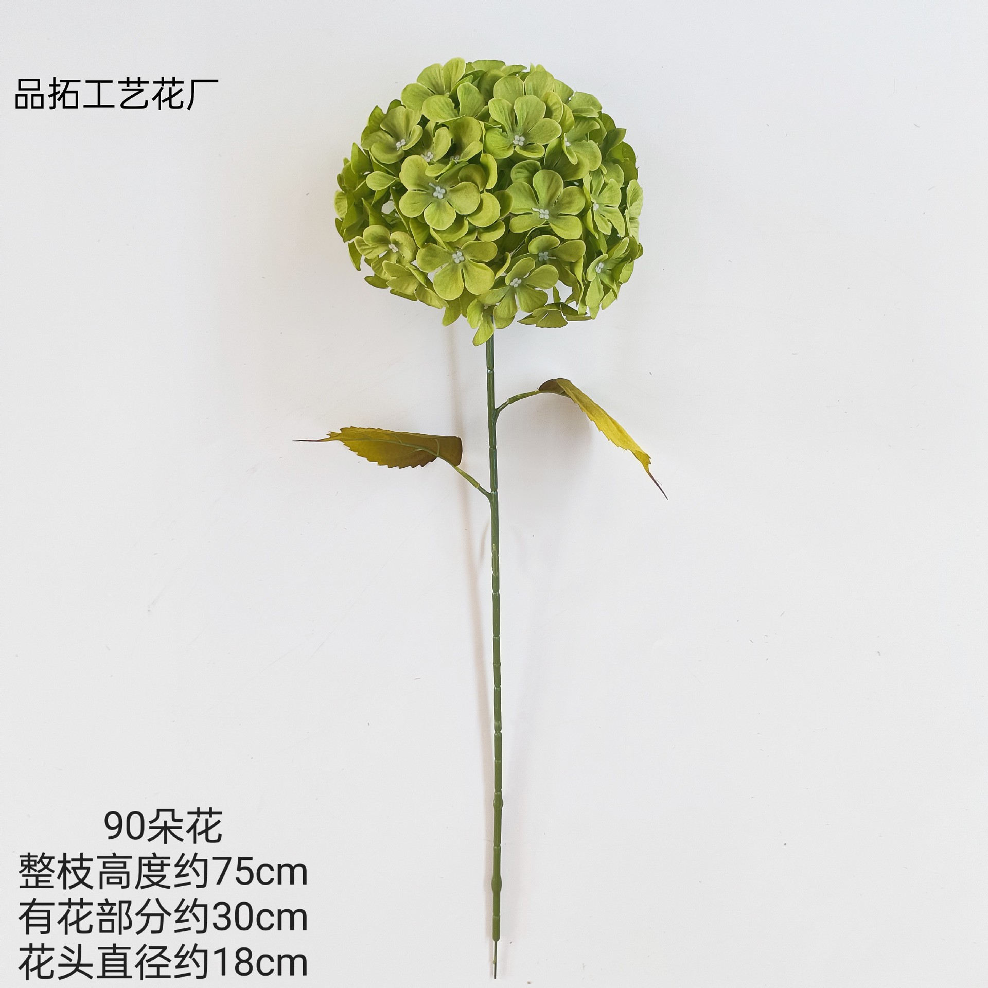 Simulation Hydclastic Globe Lollipop Single Stand -Branch Big…