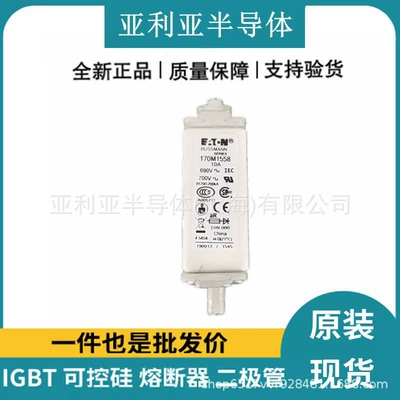 New original 170 M1 558 170 M1559 electronic components fast fuse base DC fuse core (Elektron komponentlər)