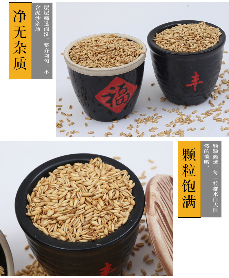 Hulled Oat Groats Yan Mai Ren 燕麦米 Low Temperature Roasted Whole Grain for Milling and Porridge 25kg Bulk Bag specifications