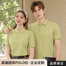 HS-8602�z���Rِ�����]���Ứ�M�CС�I  POLO�����I�¿����T��