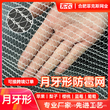 HDPE加密防雹网白色月牙防冰雹网出口批发苹果树防雹大棚防护专用