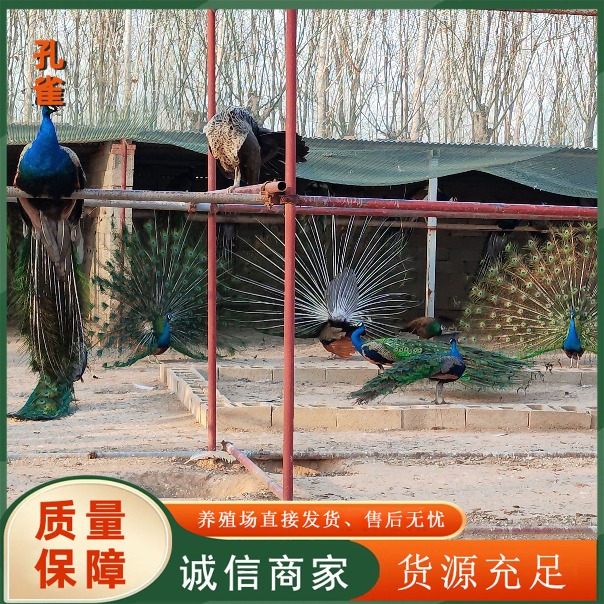 592845aa6d6bc357b27b868eda2ee1