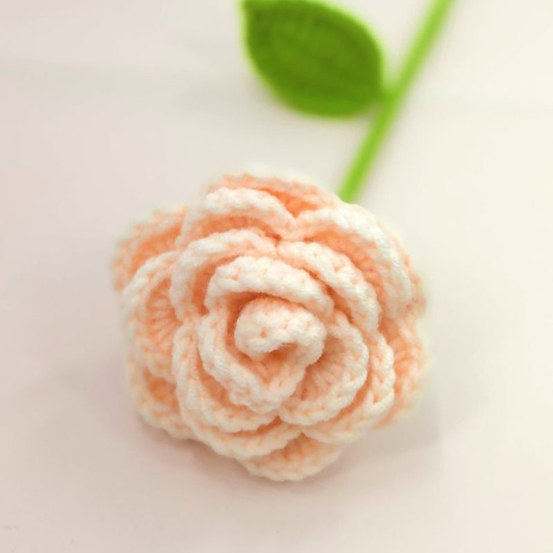 Producto terminado-Rose meat champagne