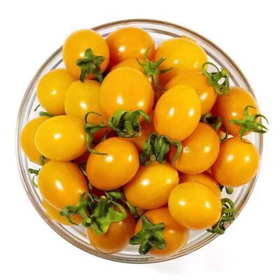 tomato Now pick Now send Fujian Farm yellow gold Cherry tomatoes Small tomatoes Fresh vegetables Manufactor