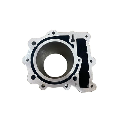 Cylinder and parts suitable for BMW BMW