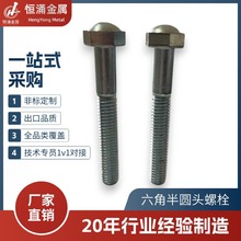 【定制】镀锌六角半圆头螺栓防锈螺丝机械工业装配紧固件加工螺杆