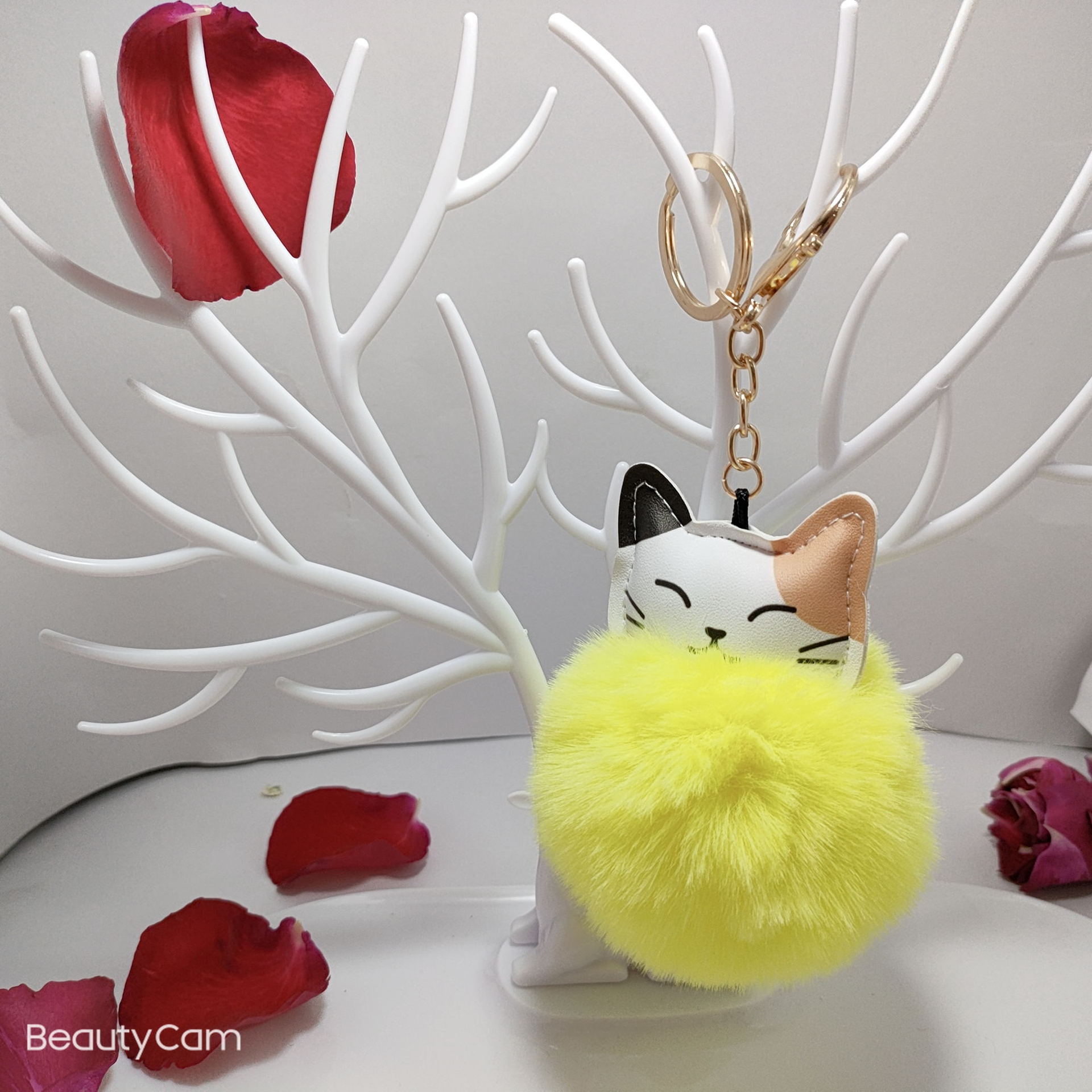 MYXJ_20211126213013061_fast_看图