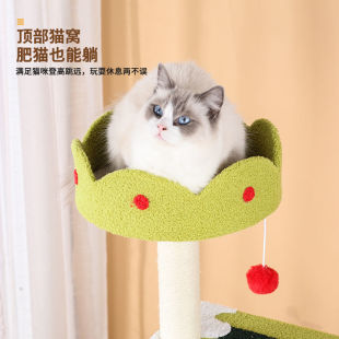 ѩ��؈�����Ӵ���؈�C؈��һ�w؈ץ��������������̨؈������ļ�