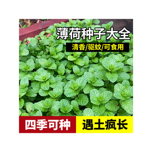 ���ɷN���ӿ�ʳ���ļ��Nֲ��ˮ���m��؈��������҃��̨���Ի���