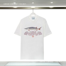 2024����վ�W�a�m���¿� CA ���mSA ̫���R�w��3D���aӡ������T��