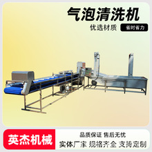 商用果蔬喷淋式清洗加工设备小型蔬菜气泡式清洗机厂家直销