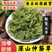 中药材伸筋草新鲜晒干伸筋草舒筋草干货石松狮子草小伸筋草中草药
