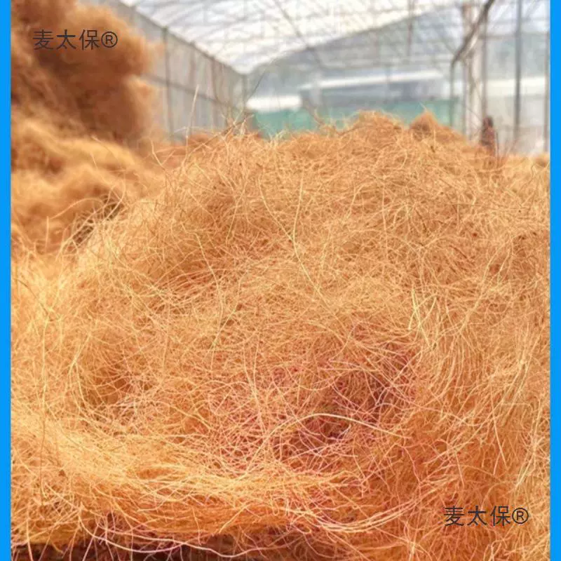 Покрытие из камня и лапша из тяньмай декоративный шелк кокосовой скорлупы кокосовый шелк кокосовый шелк кокосовый кокосовый шелк 300 горшечных растений