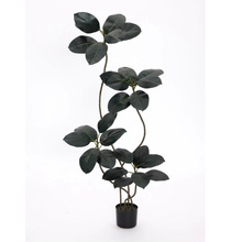 ���S���W����ֲ���������l�ڽ����辰��Ƥ��С��٘�Ҿ���Ӱ