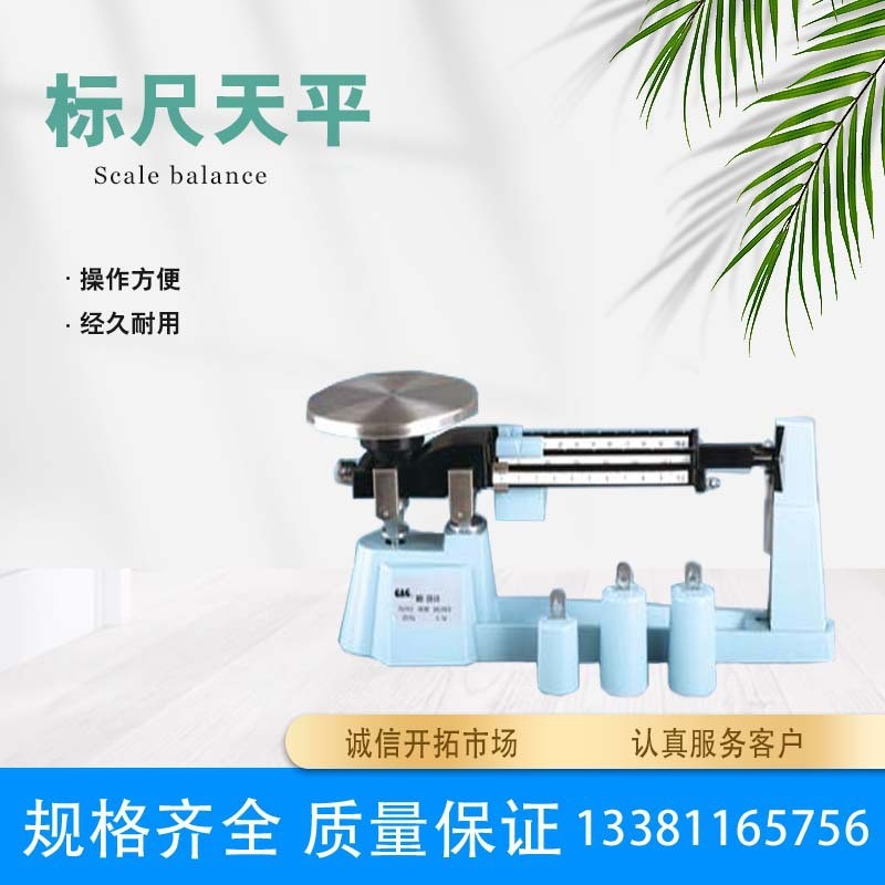 实验室仪器 机械天平三标尺天平实验室标尺天平 化学实验称重仪器