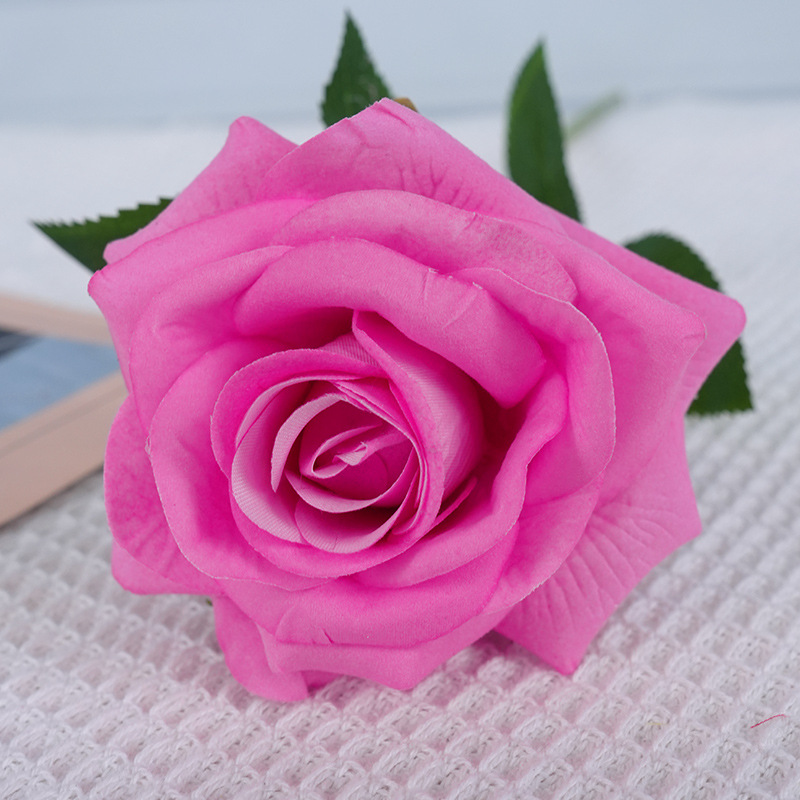 Findara rose peach color