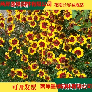 ��Ŀ�շN��ͥԺ���^���̻����^�p���N�ӿ������ļ��Nֲѩ�շN����