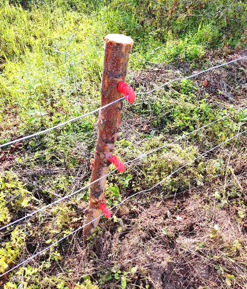 绝缘子详情页_09