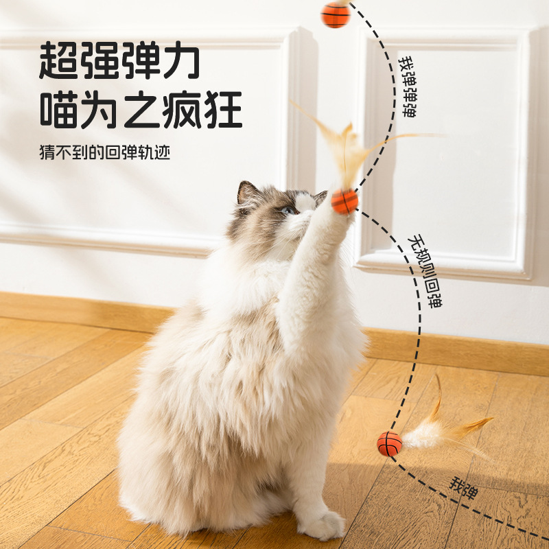 Nuevos productos juguetes creativos para gatos