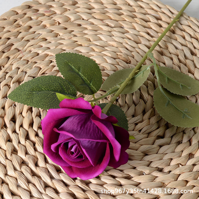 small flannel rose purple