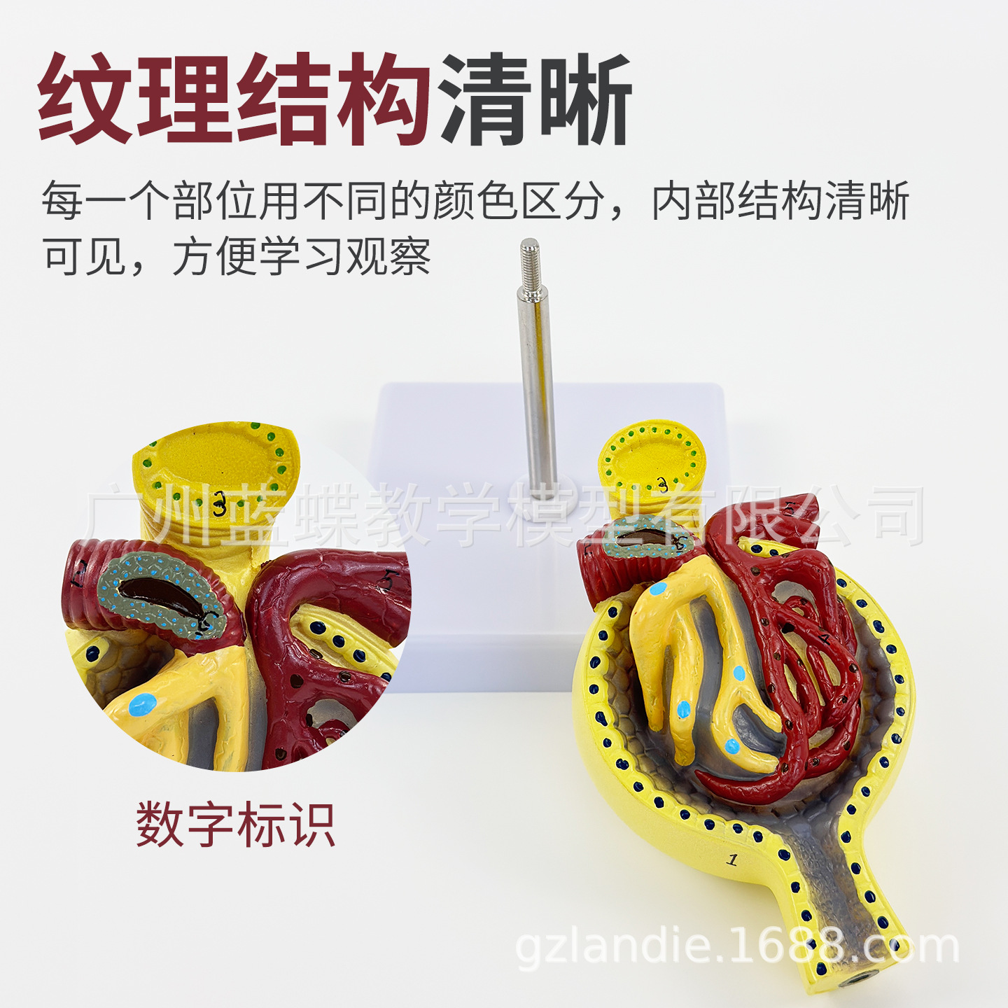 ��ѧ����������С�����ģ�ʹ�������Ȼ����С���������ϵͳ�̾�