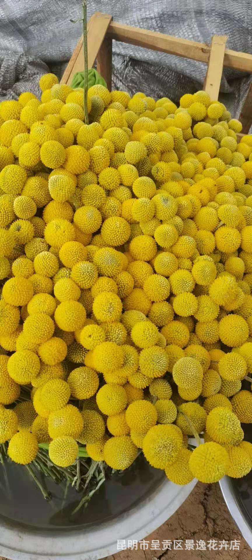 be42ad75b2d5045177005b51c92d7f