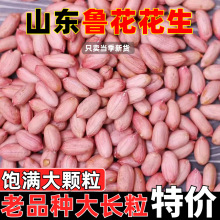山东鲁花花生2025新货长粒花生米颗粒大粒白沙新鲜特大精选花生仁